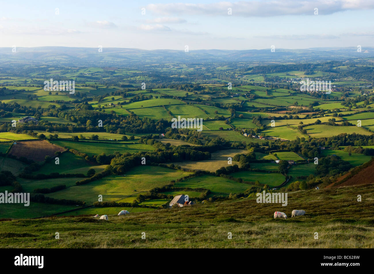 Rural landscape, Great Britain, Wales, Powys Stock Photo