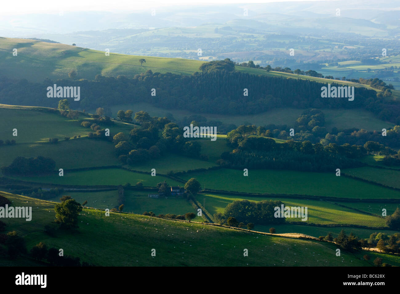 Rural landscape, Great Britain, Wales, Powys Stock Photo