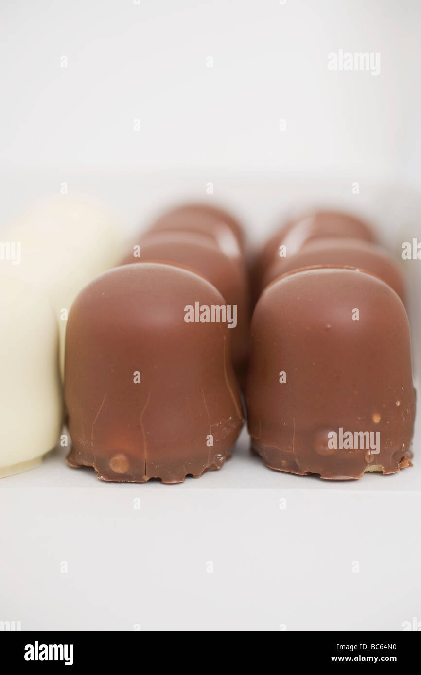 White and dark chocolatecovered marshmallow wafers Stock Photo Alamy