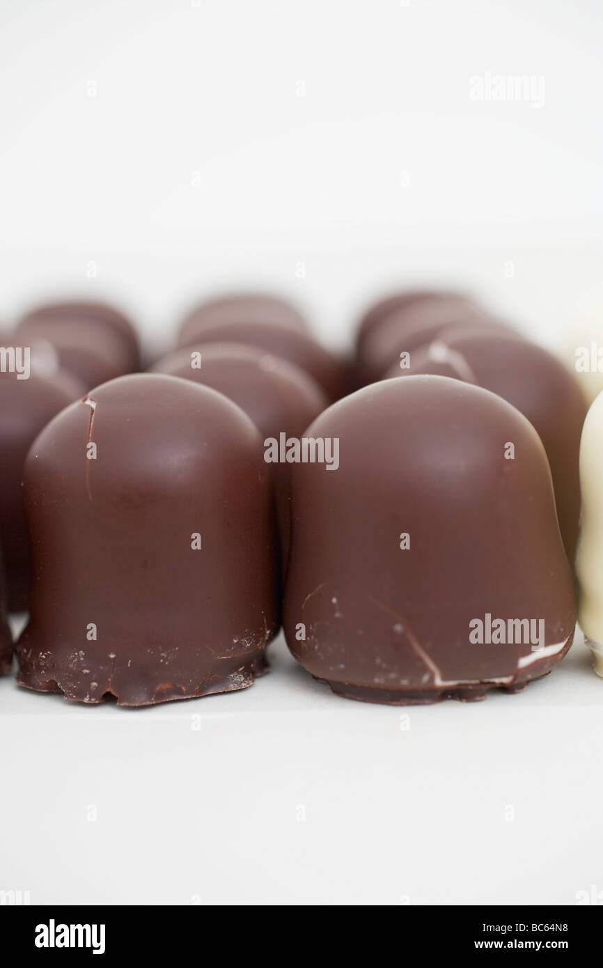Chocolatecovered marshmallow wafers Stock Photo Alamy