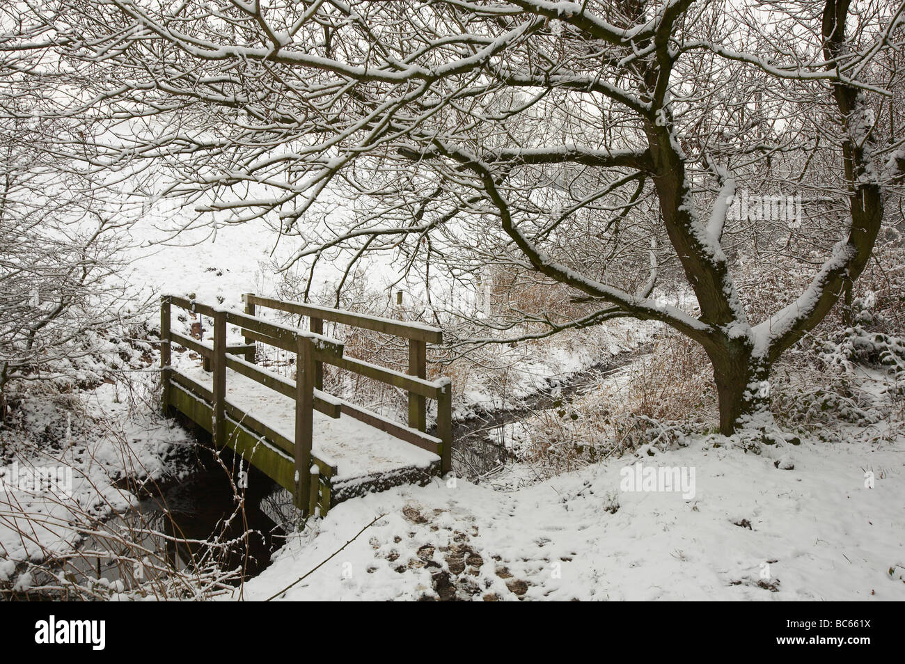 Etched snow hi-res stock photography and images - Alamy