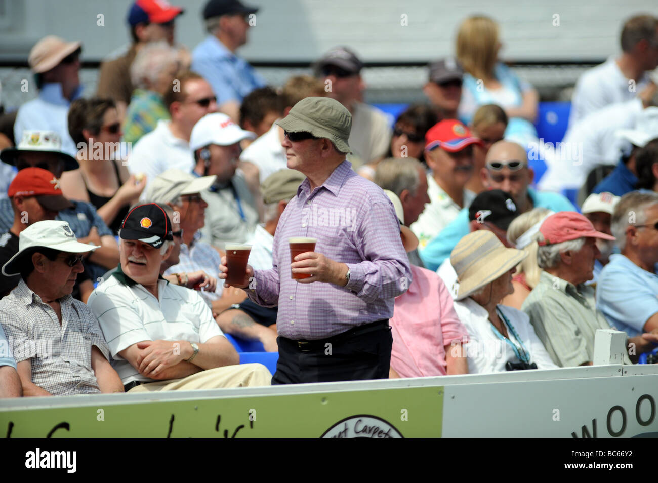 Drinking in the crowd at a Sussex County cricket match UK Stock Photo