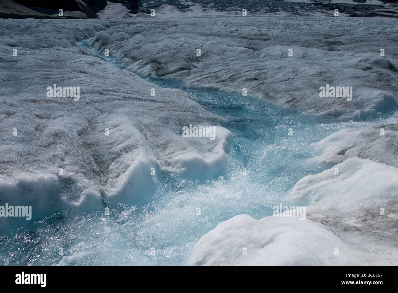 Melt Ice water on the Columbia Glacier, Alberta, Canada Stock Photo