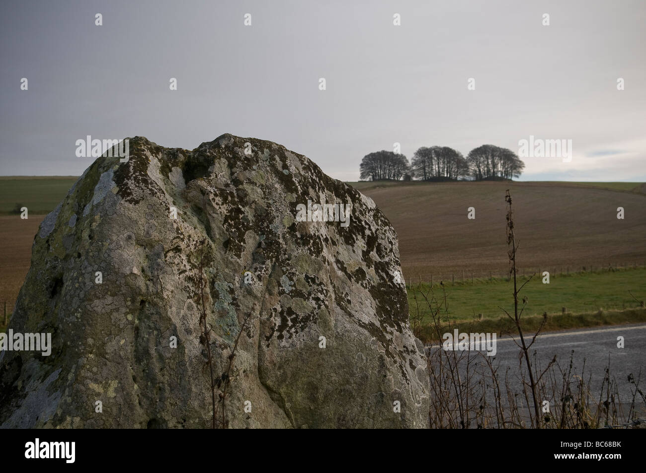 One of the megalithic standing stones that form a part of the 'Avenue' between Avebury Stone Circle and The Sanctuary, Wiltshire Stock Photo