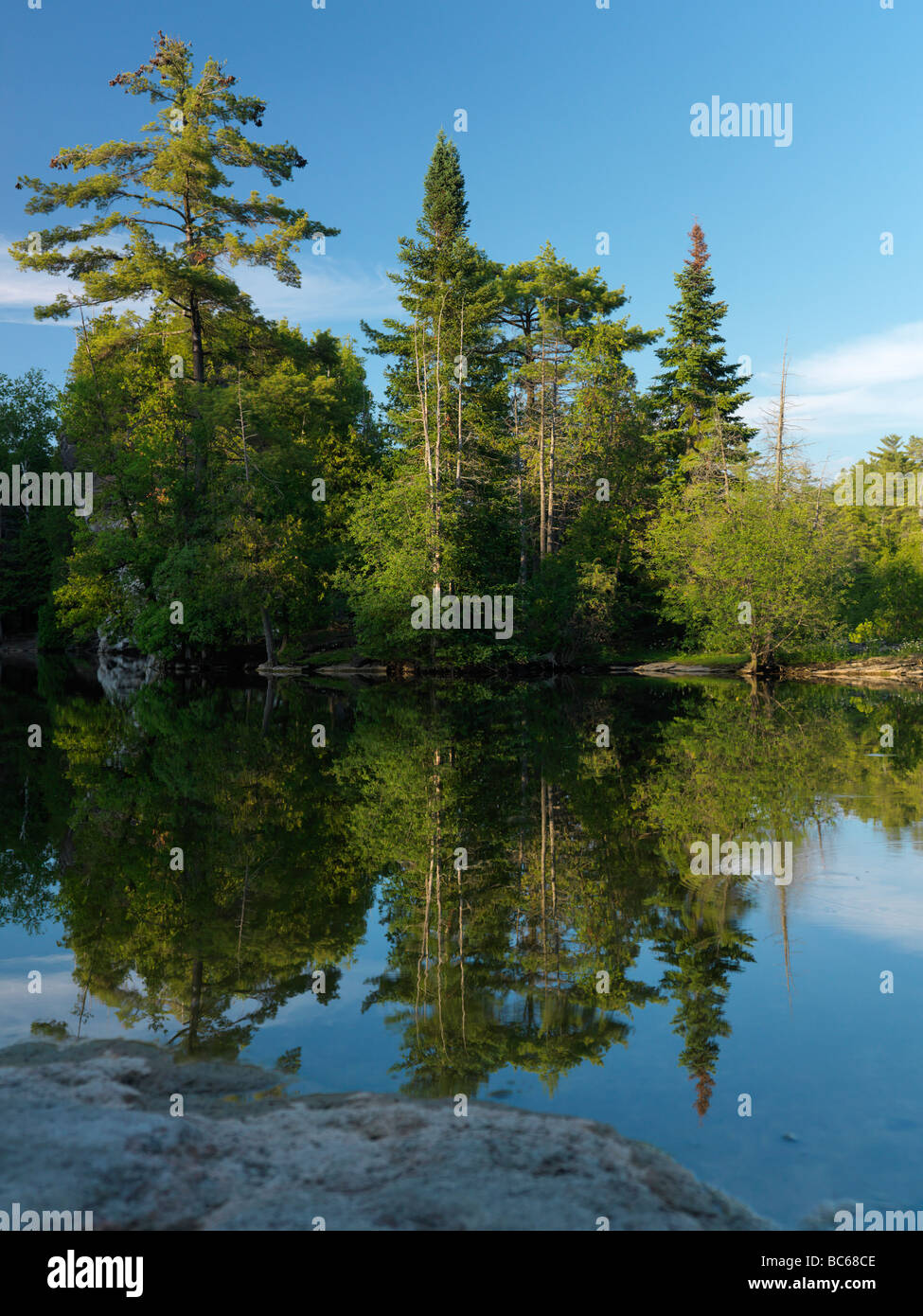 Eramosa river nature scenery Ontario Canada Stock Photo Alamy