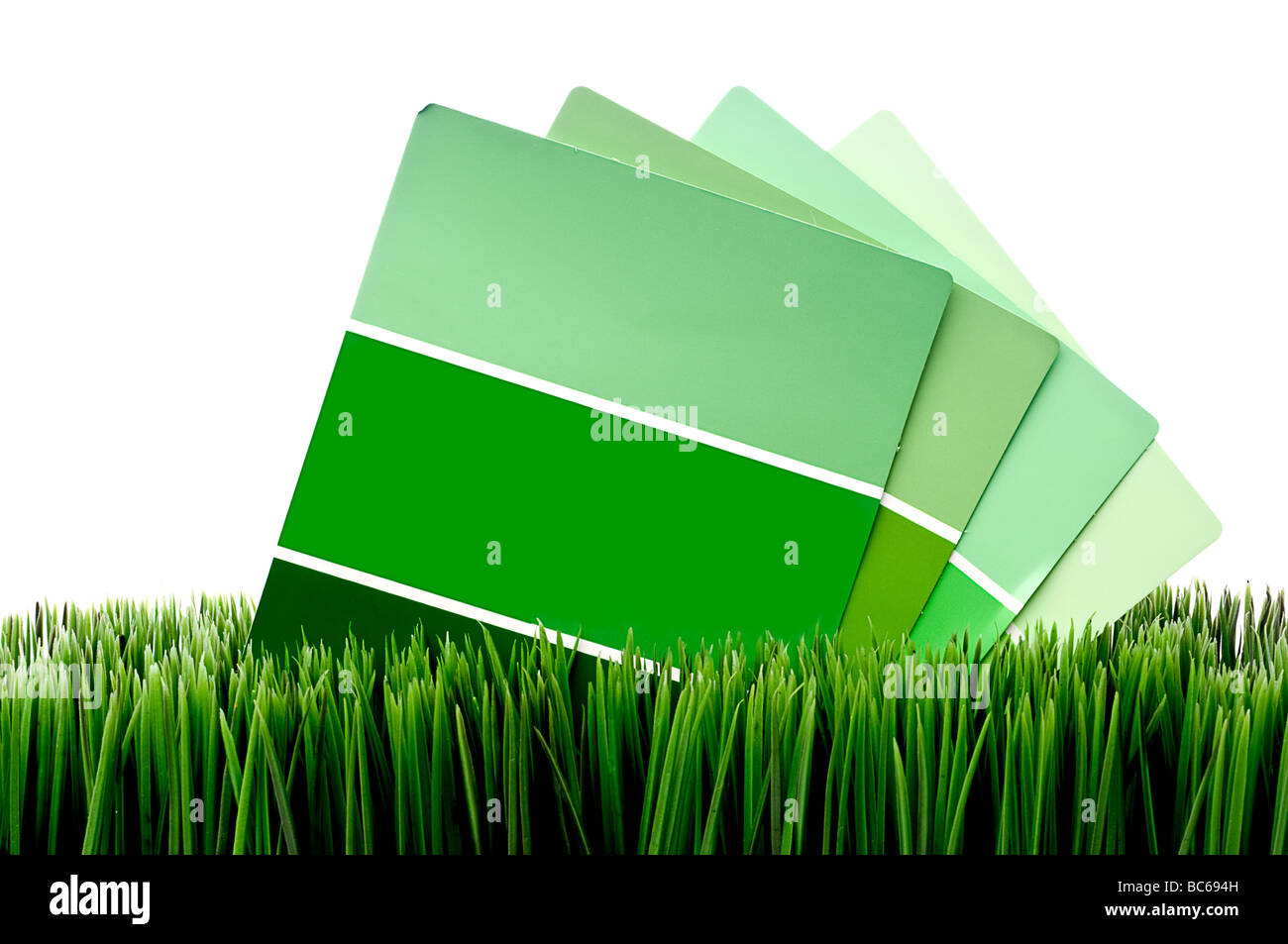 Horizontal image of green paint chip samples on green grass with a white background Stock Photo