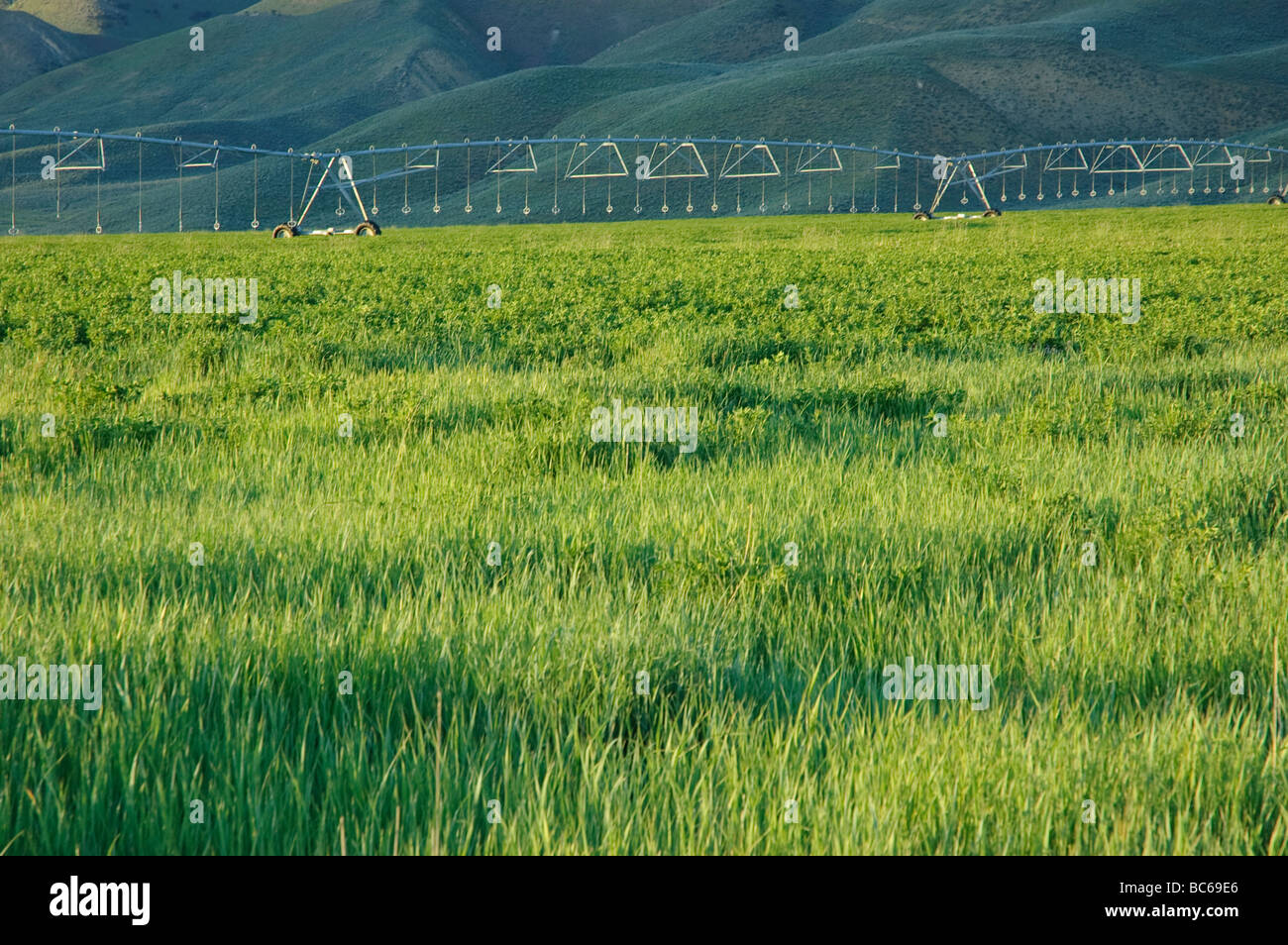 Southern Idaho farm with center pivot irrigation Stock Photo