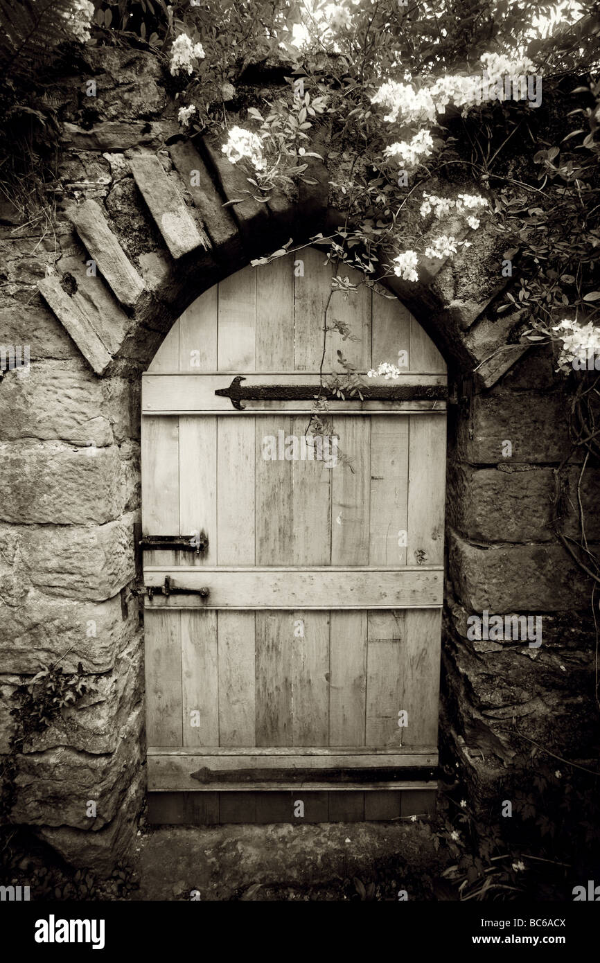 Sepia shot of traditional oak doorway in garden wall with stone surrounds and arch overhung with plants and ivy Stock Photo