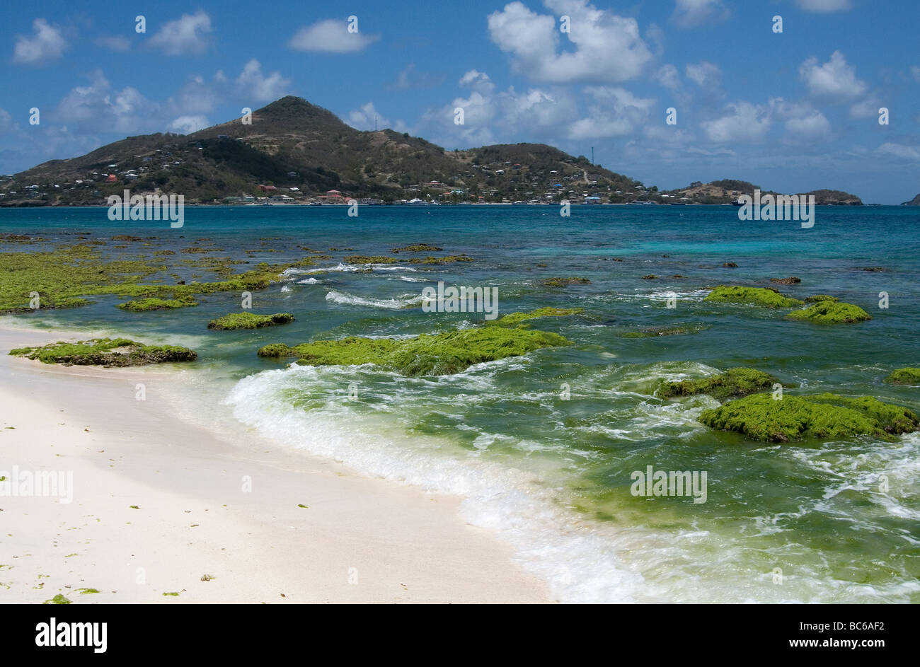 White Coral Beach on Petit Saint Vincent, Turquoise Caribbean Ocean and a View of Petit Martinique. Stock Photo