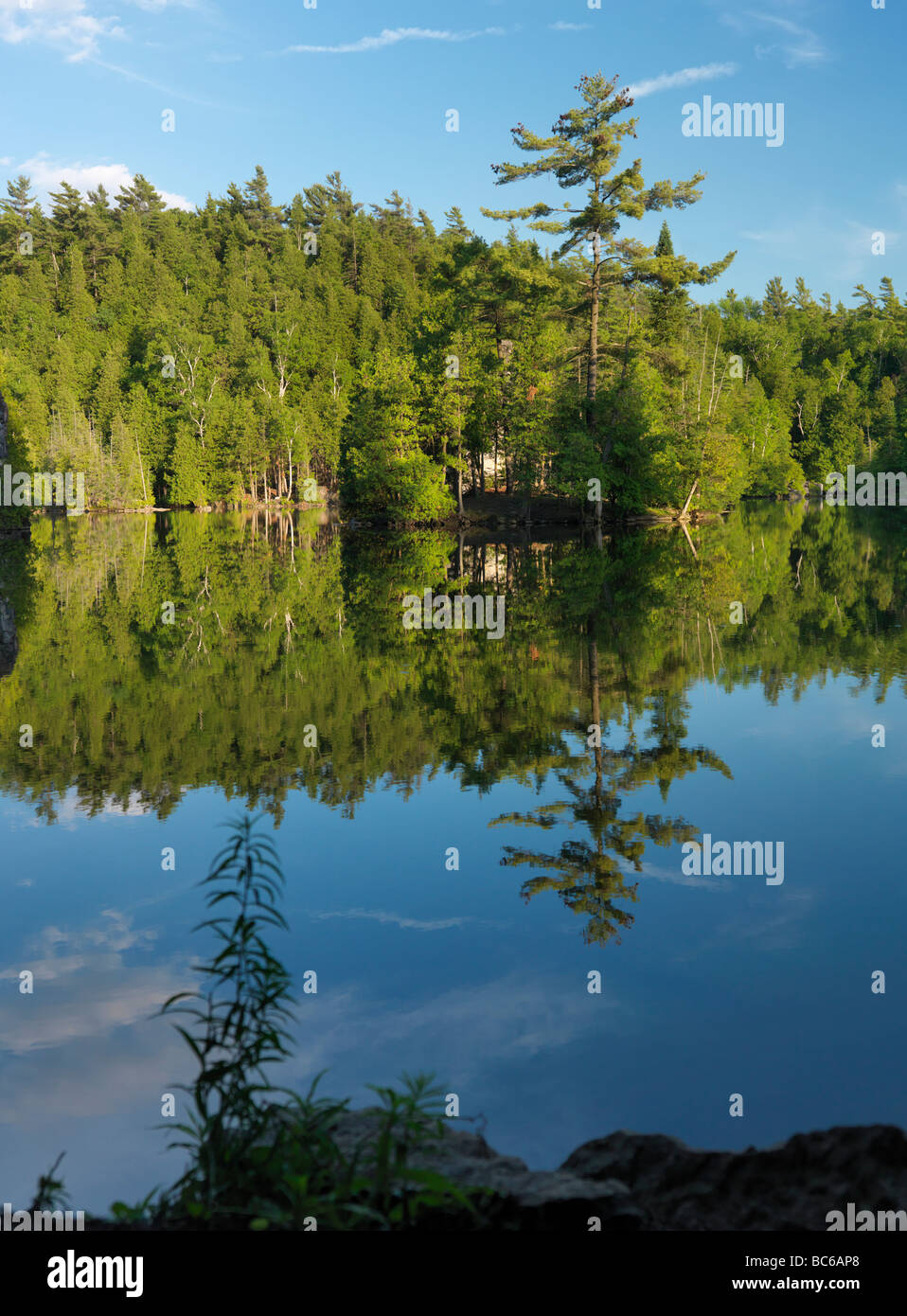 Eramosa river nature scenery Ontario Canada Stock Photo Alamy