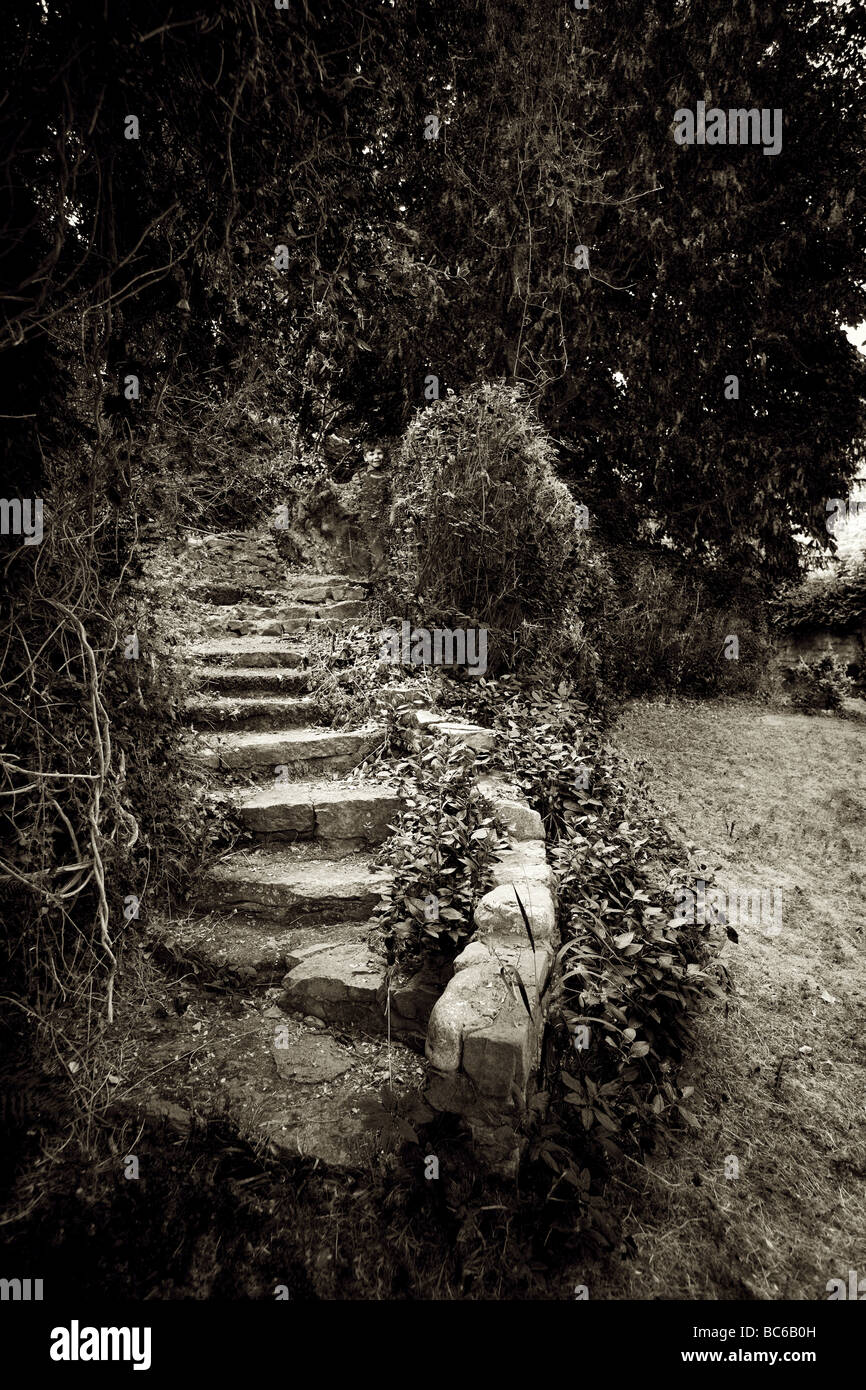 Sepia shot of overgrown garden stone stairway revealing a ghosted image of a young child standing at the top Stock Photo