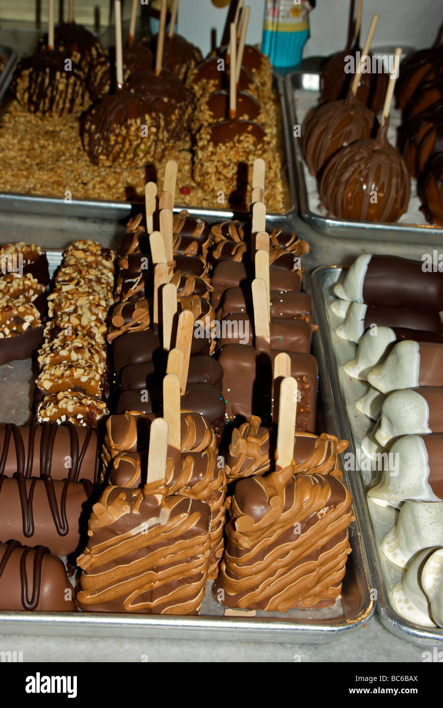 Aluminum trays of chocolate nut coated fudge candy confections on