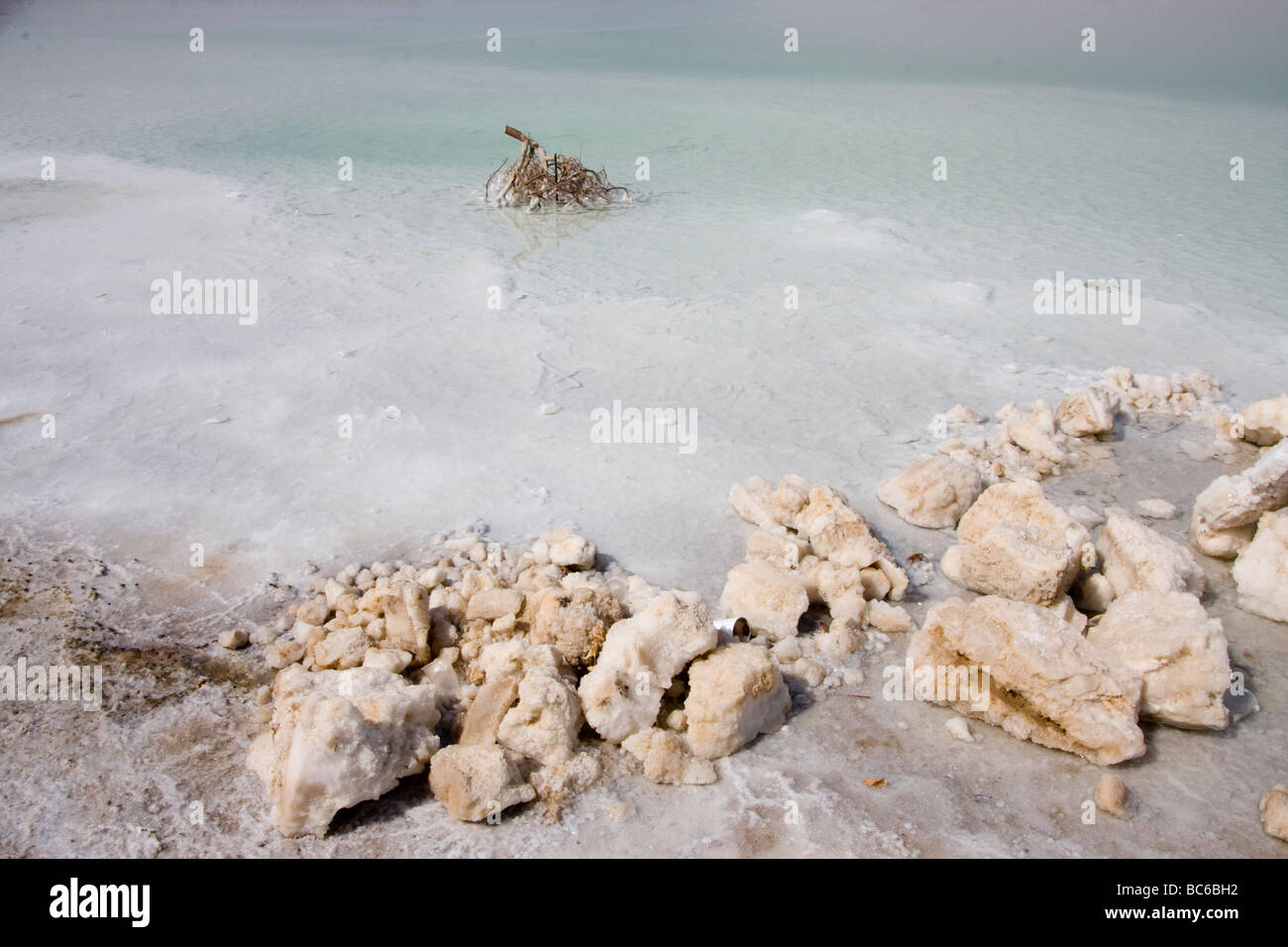 IMG 8946,dead sea aspect Stock Photo