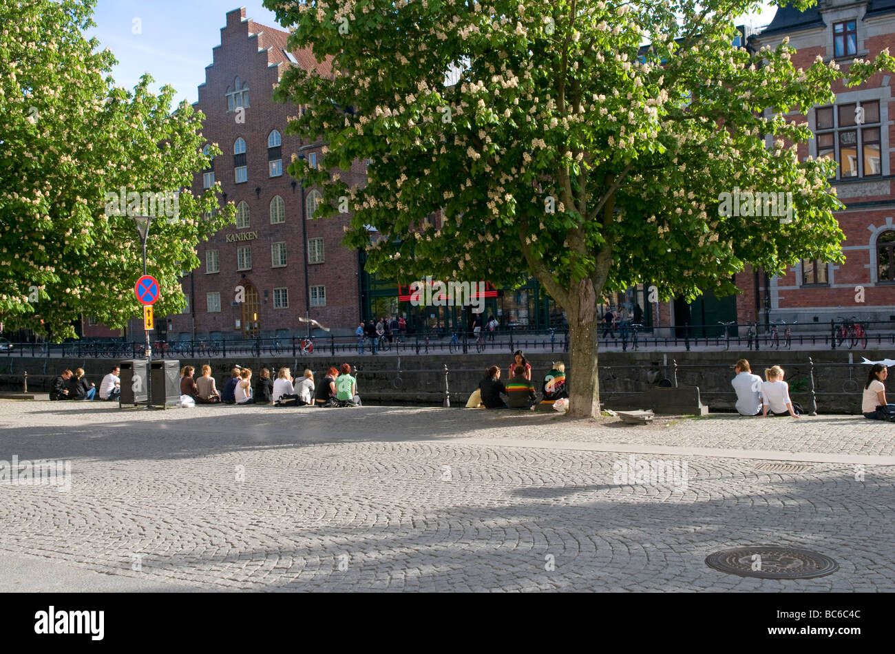 Young people enjoying the sunny summer weather, sitting on the banks of River Fyrisån, in Uppsala, Sweden. Stock Photo
