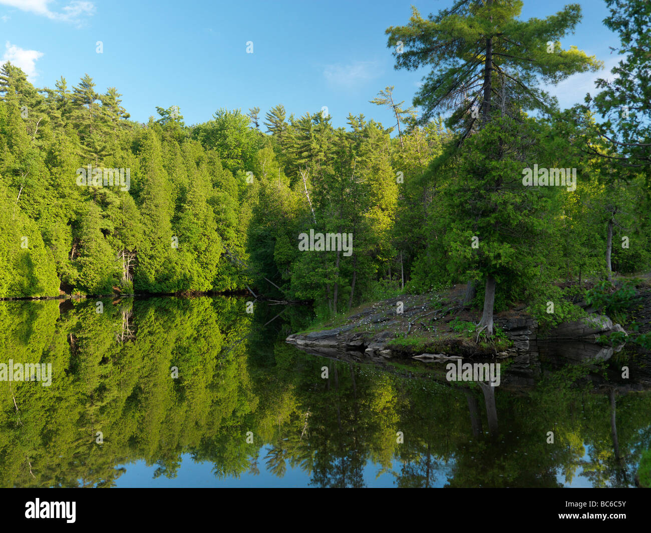 Eramosa river nature scenery Ontario Canada Stock Photo Alamy