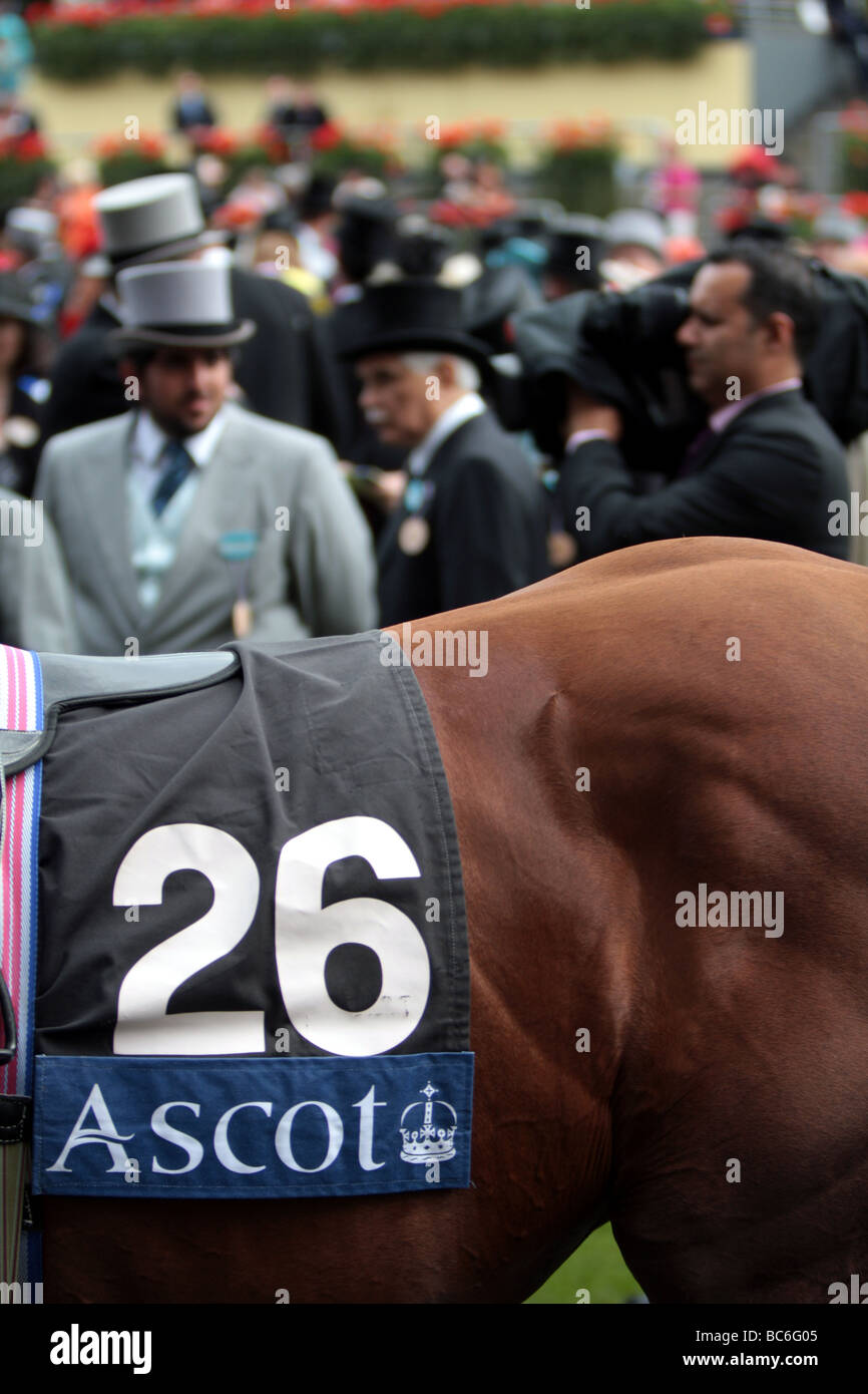 Ascot Ladies Day Stock Photo - Alamy