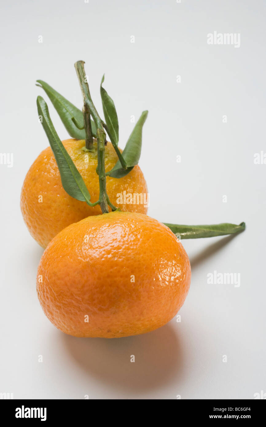 Two clementines with leaves Stock Photo Alamy