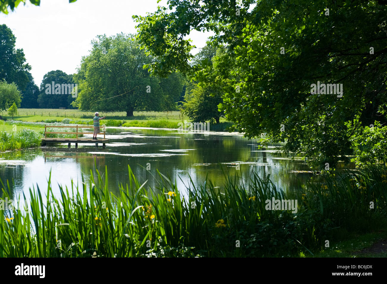 Syon Park House grounds , Brentford , tranquil scene of angler fly fishing on secluded stretch of river Stock Photo