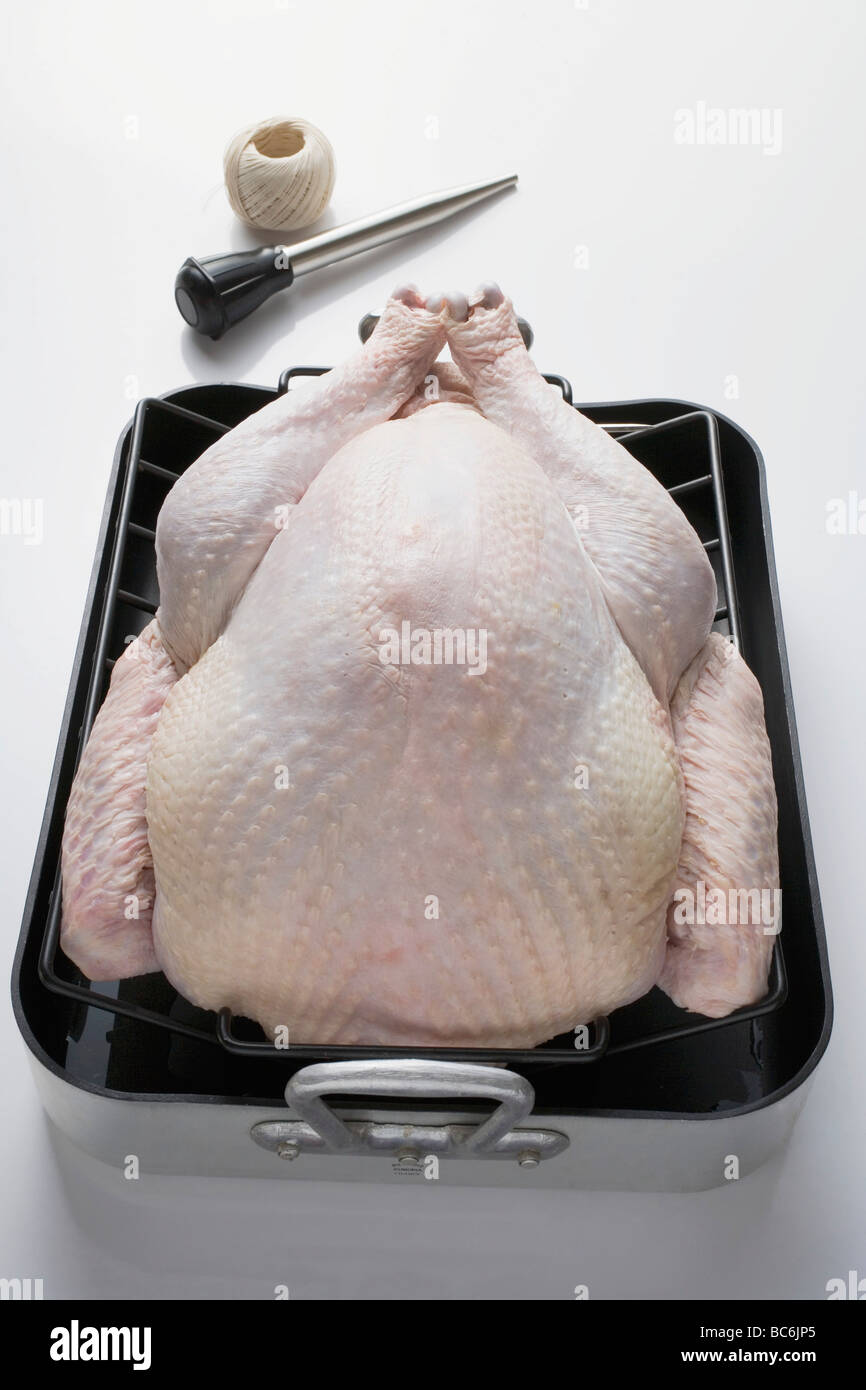 Whole raw turkey in roasting tin, baster, kitchen string Stock Photo ...