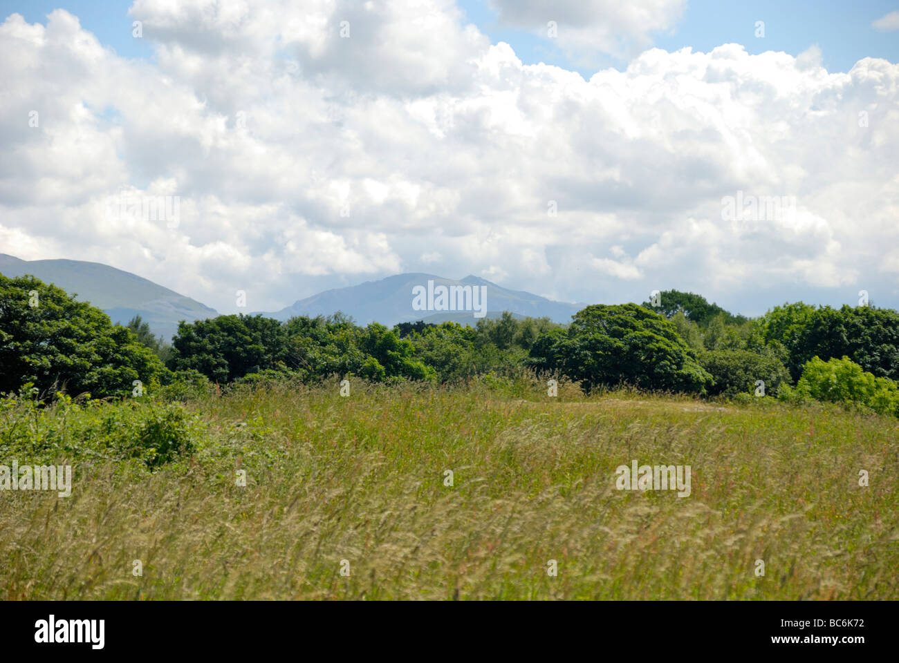 Mount Snowdon from Brewery Fields Bangor North Wales Stock Photo Alamy