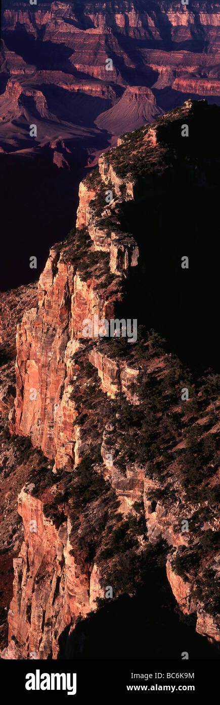 Upright panoramic view of the Grand Canyon at dawn Stock Photo - Alamy