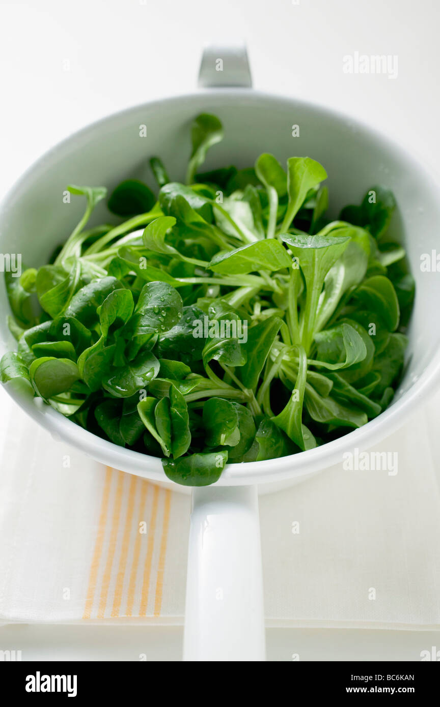 Corn salad in strainer Stock Photo - Alamy