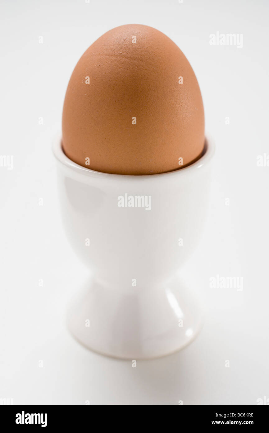 Brown egg in eggcup - Stock Photo