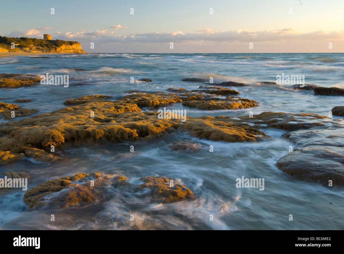 Sabellaria alveolata organic reef, Tor Caldara beach, Lavinio, Lazio, Italy Stock Photo