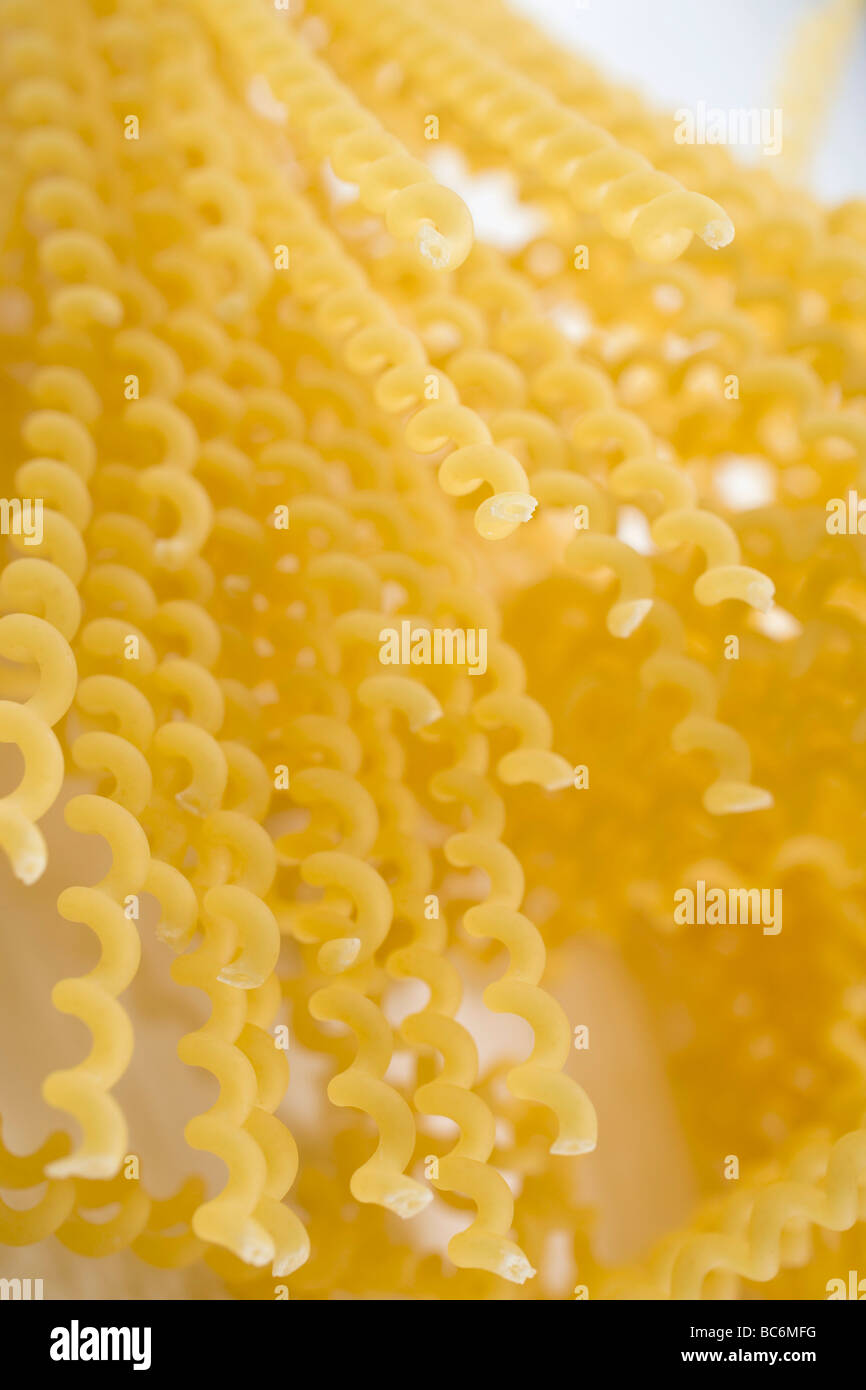 Fusilli lunghi (long pasta spirals Stock Photo Alamy