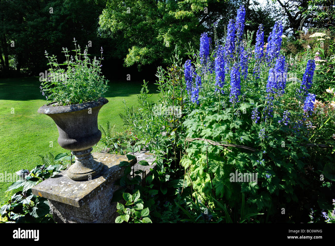 Landscaped English garden at Cothay Manor, stately home and manor in Wellington, Somerset, UK Stock Photo