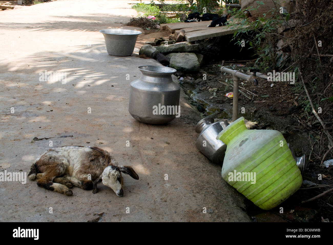 Rural tamil nadu village scene hi-res stock photography and images - Alamy