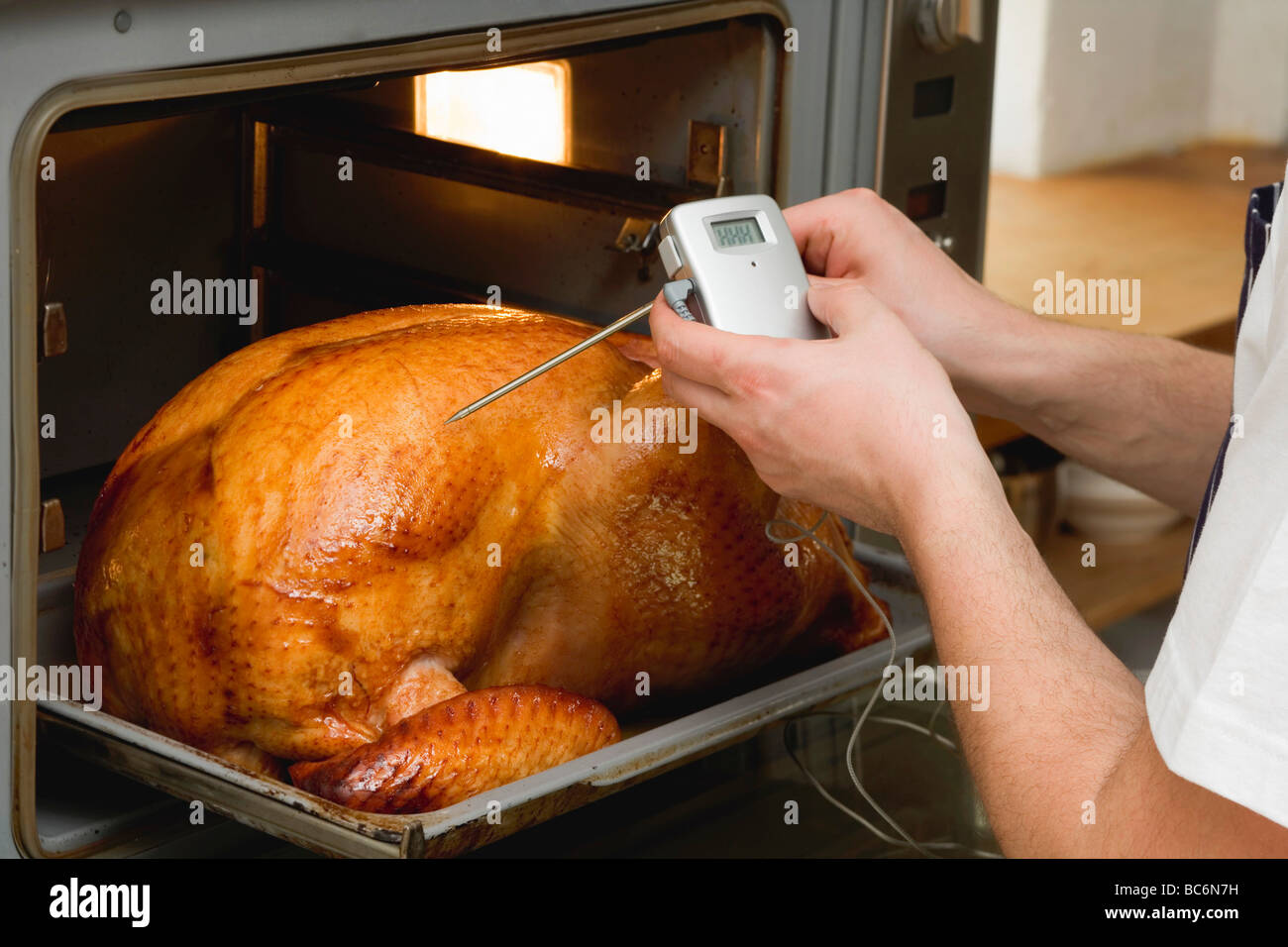 Turkey poultry roast with meat thermometer measuring temperature at  Thanksgiving Stock Photo - Alamy