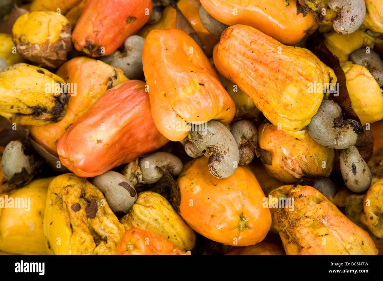 Tappers Food Recipes Tappers Food Recipes