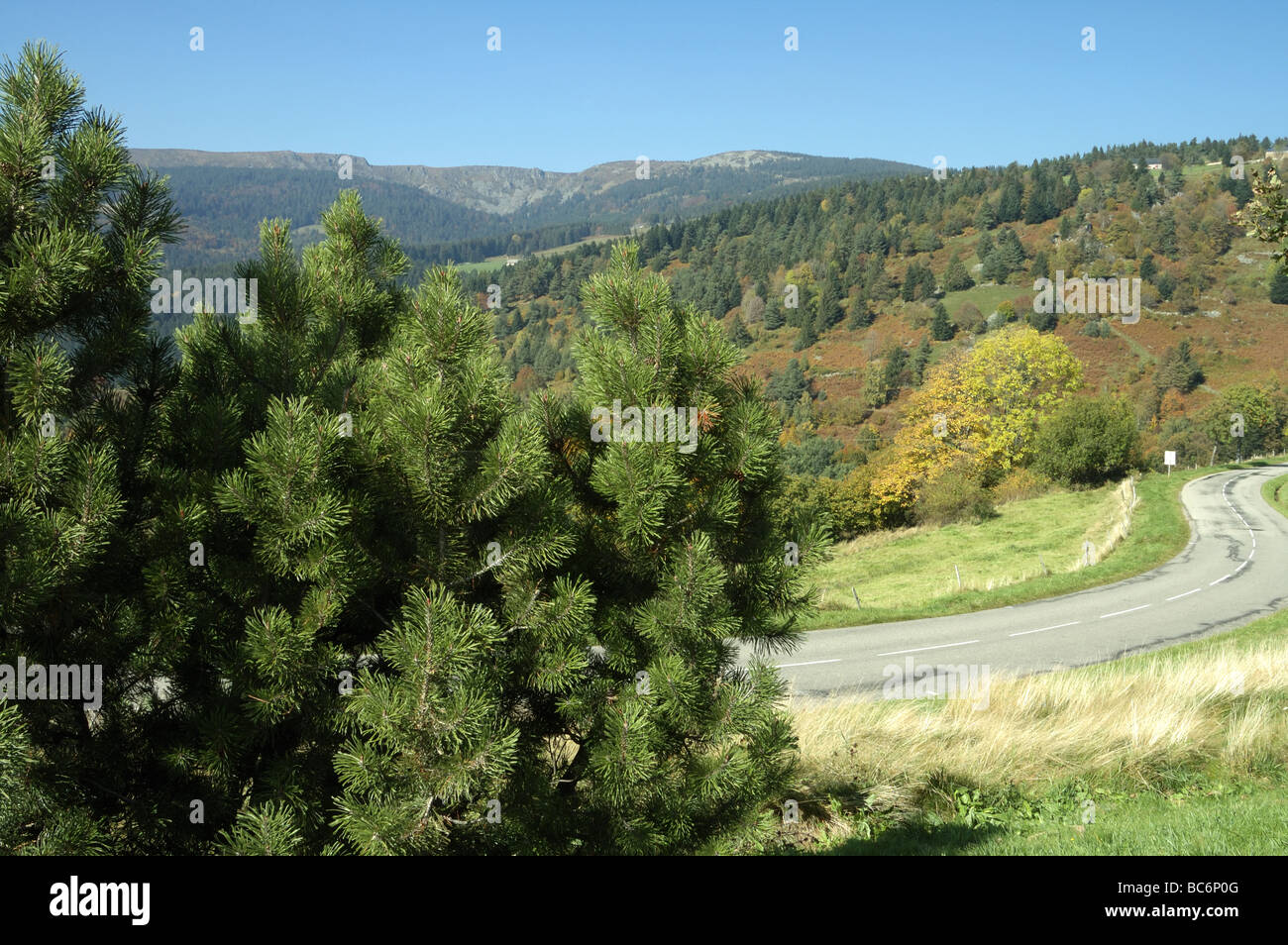 Autumn landscape of Col du Wettstein Alsace France Stock Photo