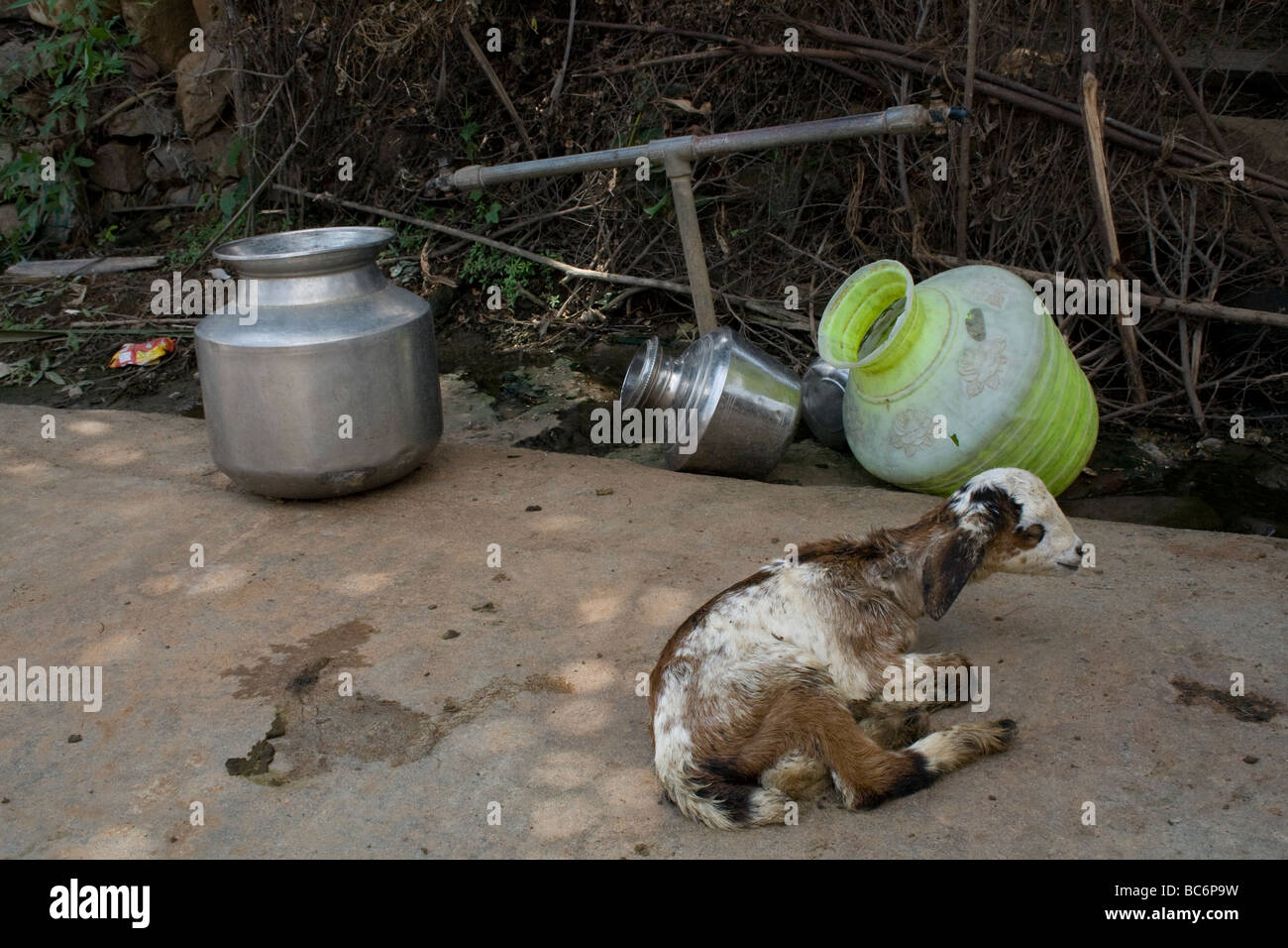 Rural tamil nadu village scene hi-res stock photography and images - Alamy