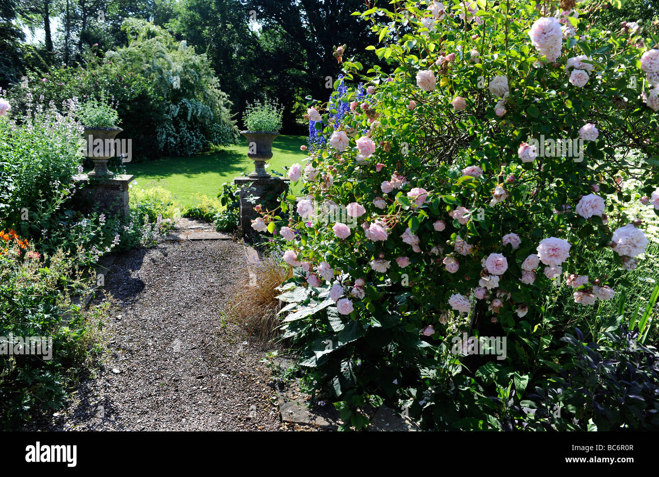 Landscaped English garden at Cothay Manor, stately home and manor in