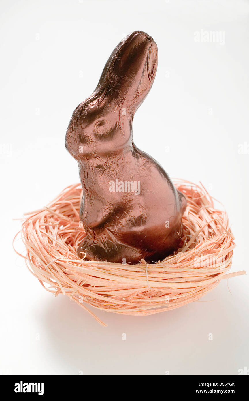Easter Bunny in foil in nest - Stock Photo