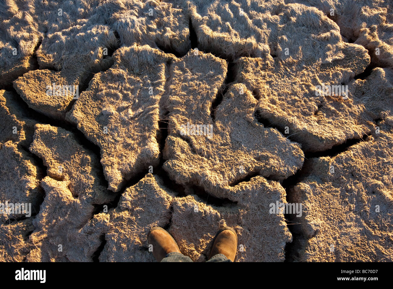 Dry lake bed Mildura, resulting from prelonged drought. Stock Photo