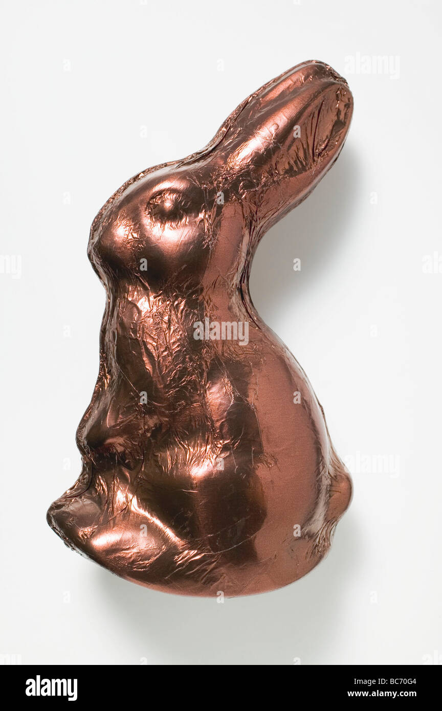 Chocolate bunny in brown foil - Stock Photo
