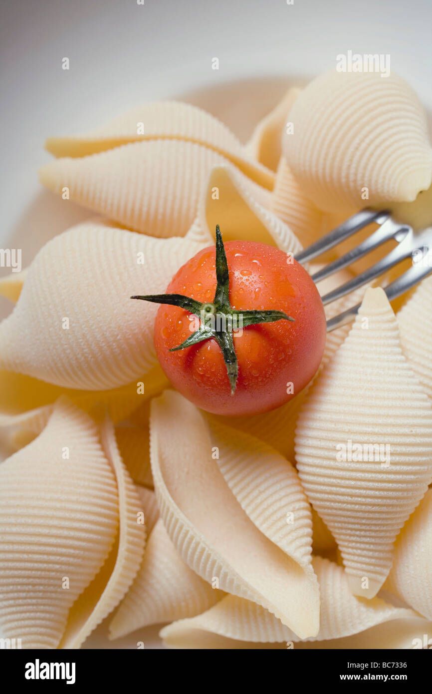 Pasta shells with cherry tomato - Stock Photo