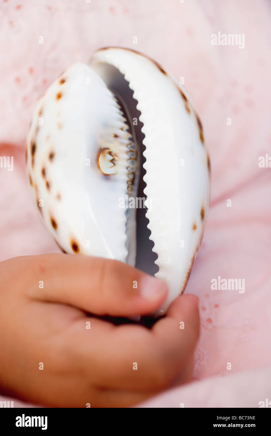 Child's hand holding sea shell Stock Photo - Alamy