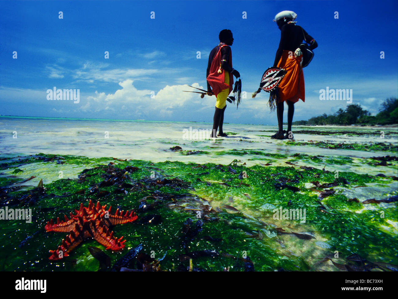 Red sea star on the beach shoreline and Samburu warriors walking on Diani beach Kenya Stock Photo