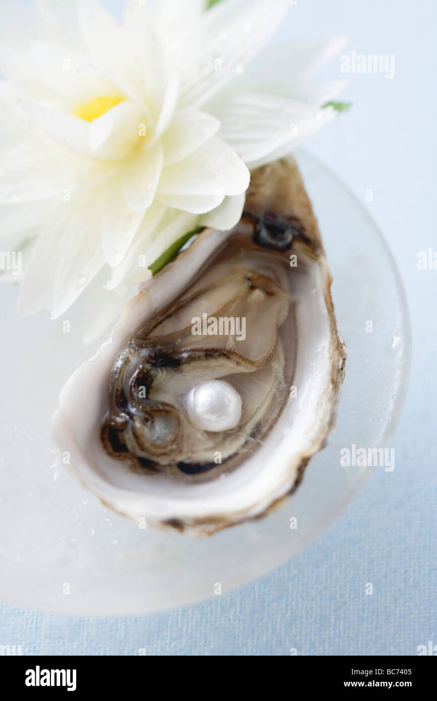Fresh oyster with pearl, white water lily beside it - Stock Photo