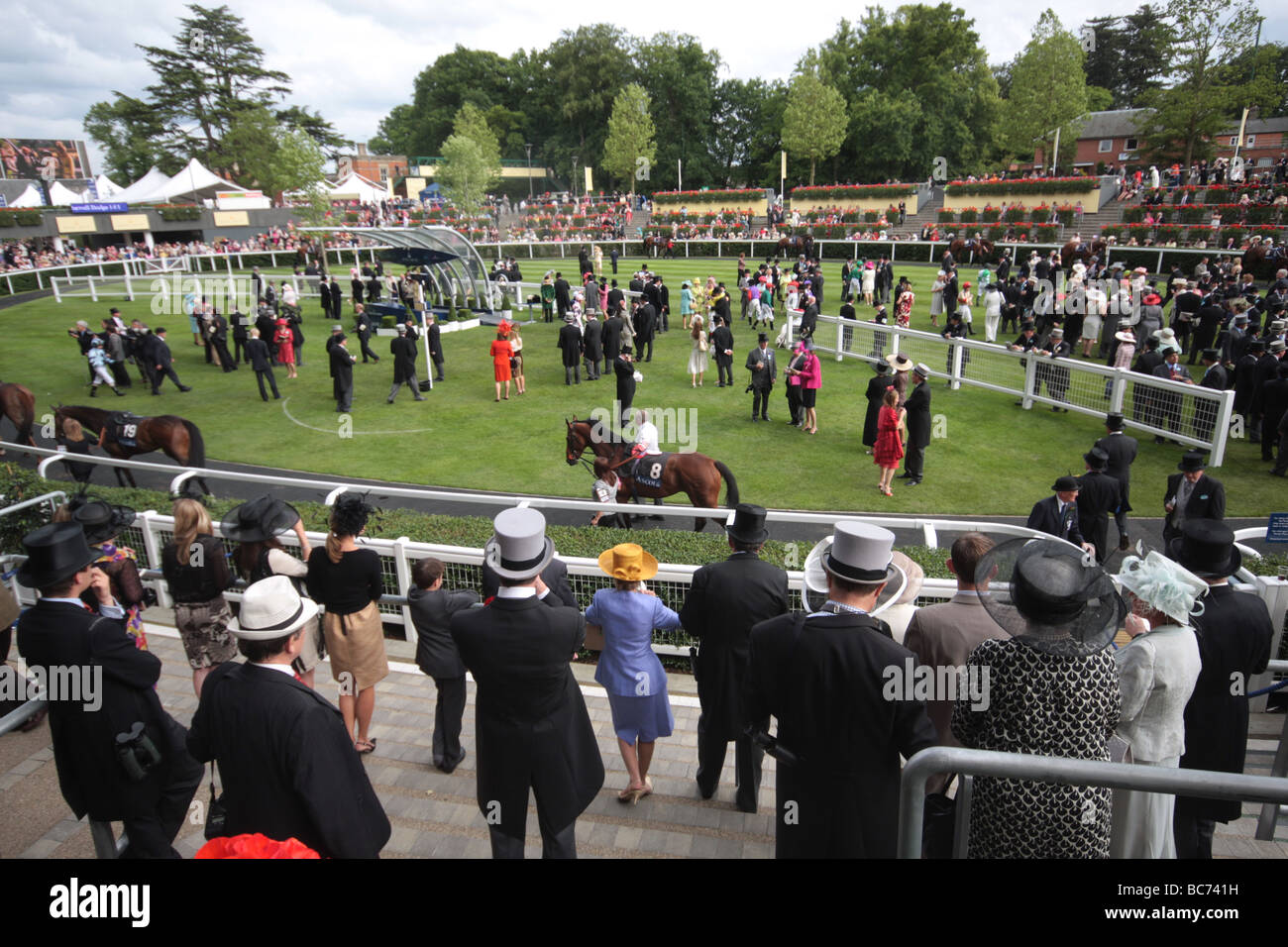 Ascot ladies day 09 Stock Photo - Alamy
