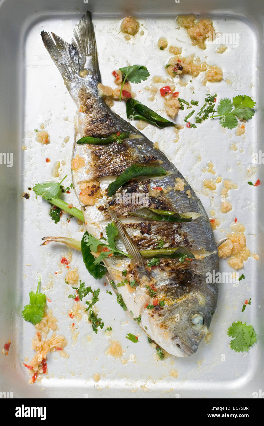 Roasted gilthead bream with lemon grass & coriander leaves - Stock Photo
