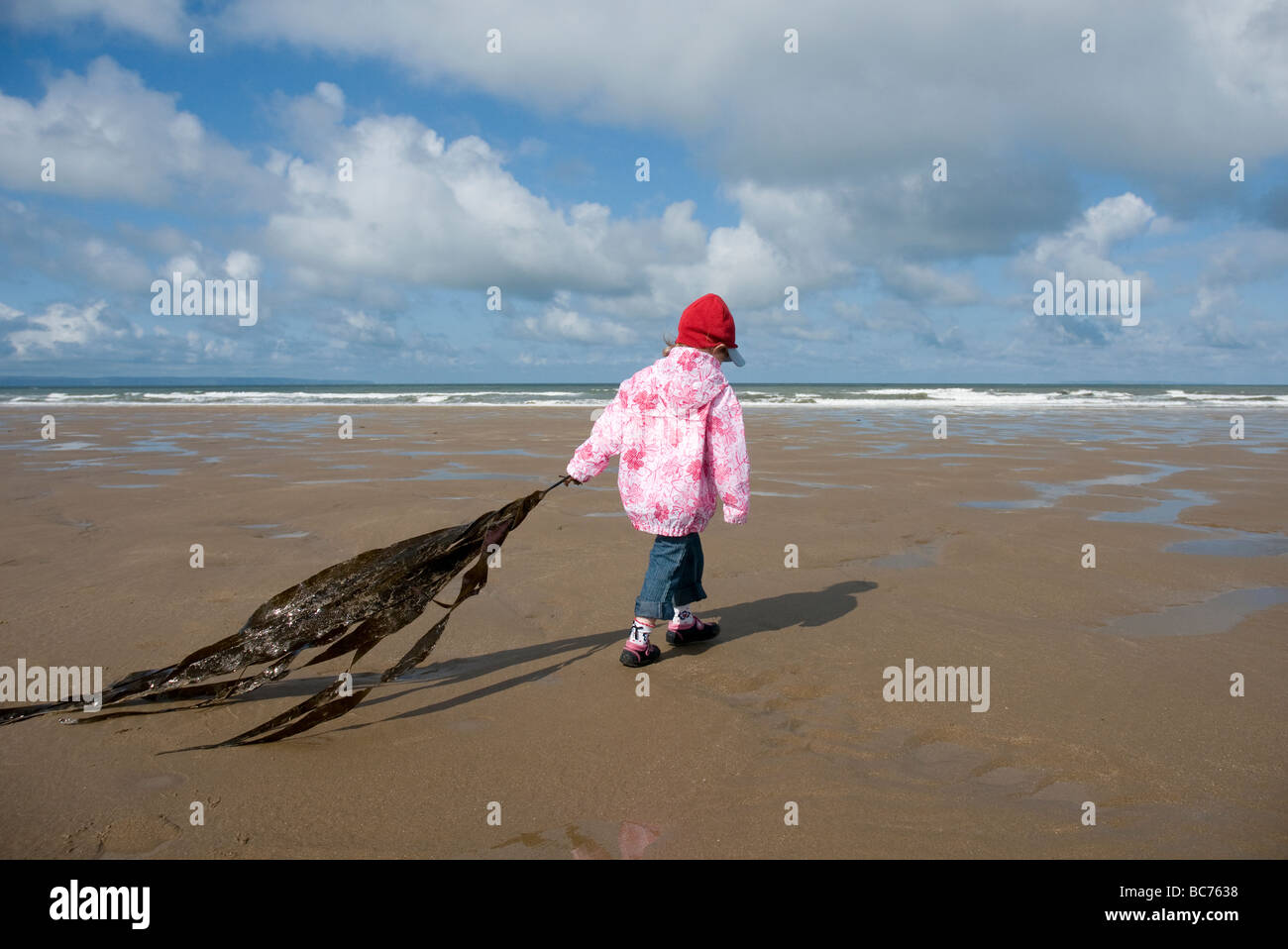 A young girl plays with alarge piece of seaweed discovered while playing in a rockpool on the beach at Croyde in North Devon Stock Photo