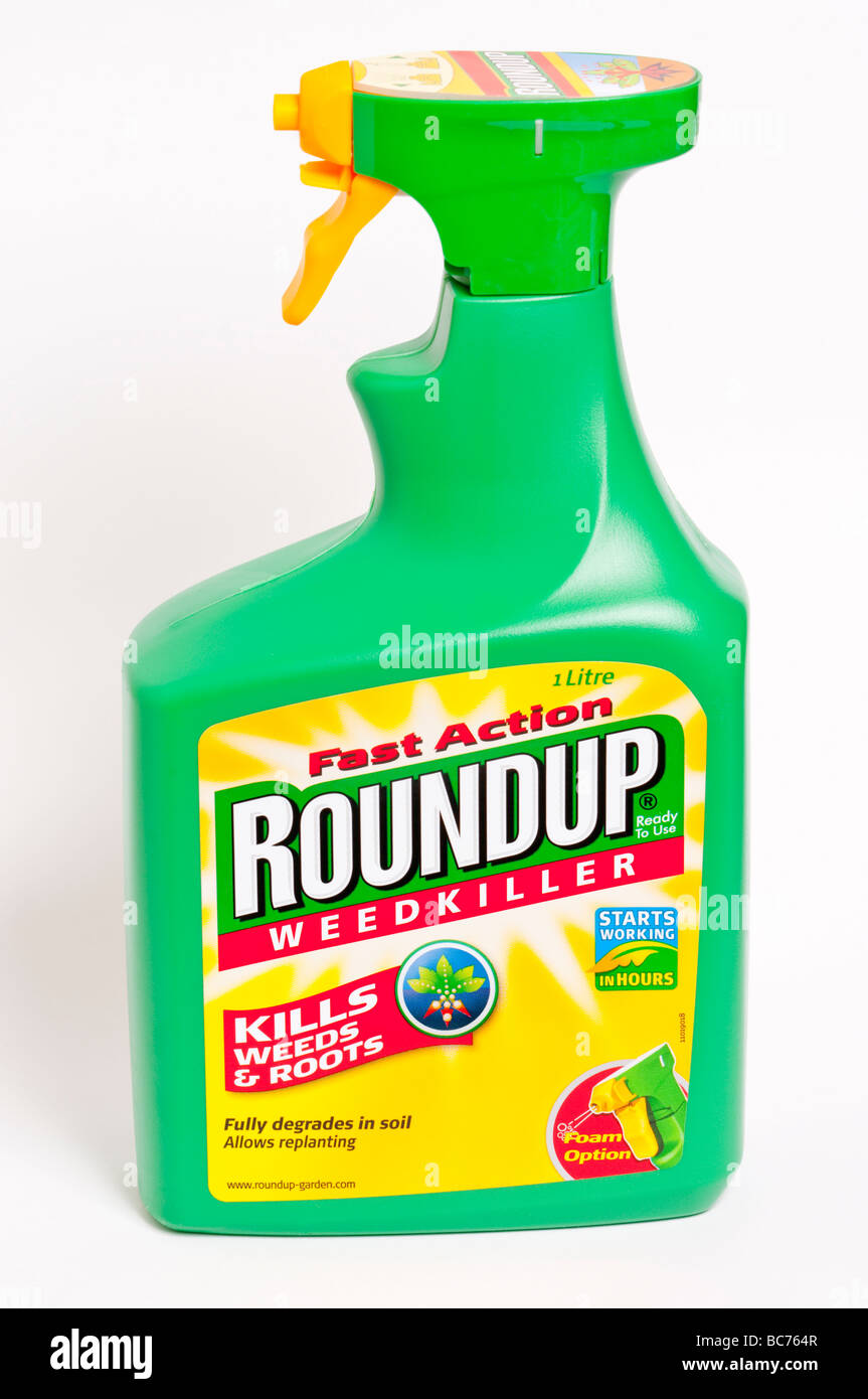 A close up of a spray tub of roundup weedkiller for killing weeds and roots Stock Photo