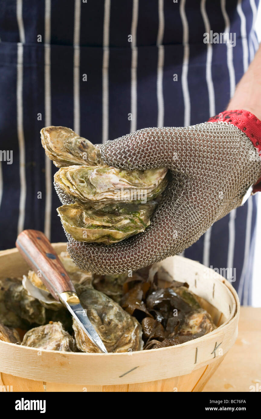 Fresh oysters Stock Photo - Alamy