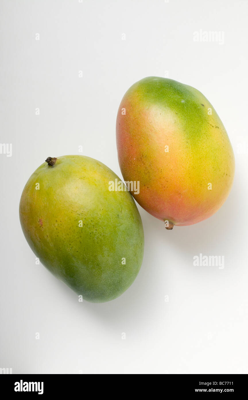 two-mangoes-dating-site
