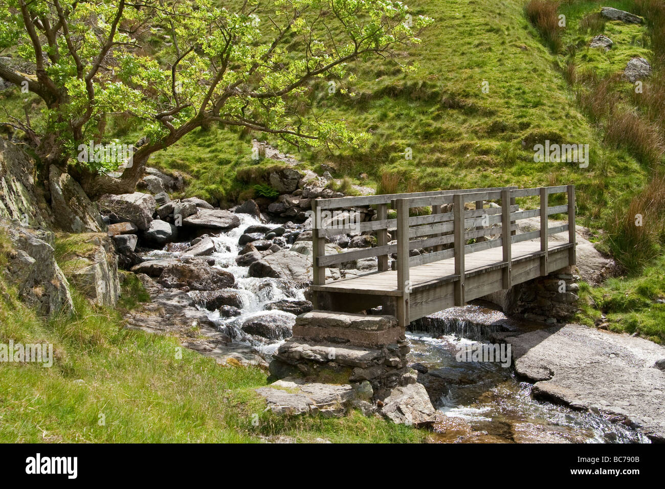 A bridge over a stream Stock Photo - Alamy
